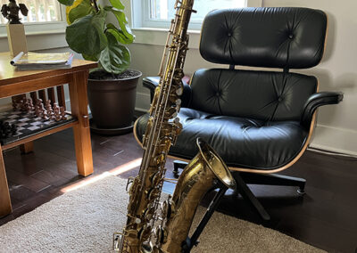 PM Woodwind Sax Resonators